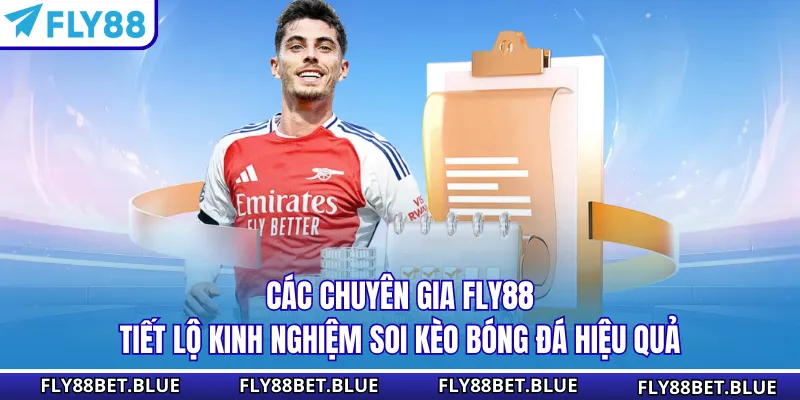 Các chuyên gia FLY88 tiết lộ kinh nghiệm soi kèo bóng đá hiệu quả